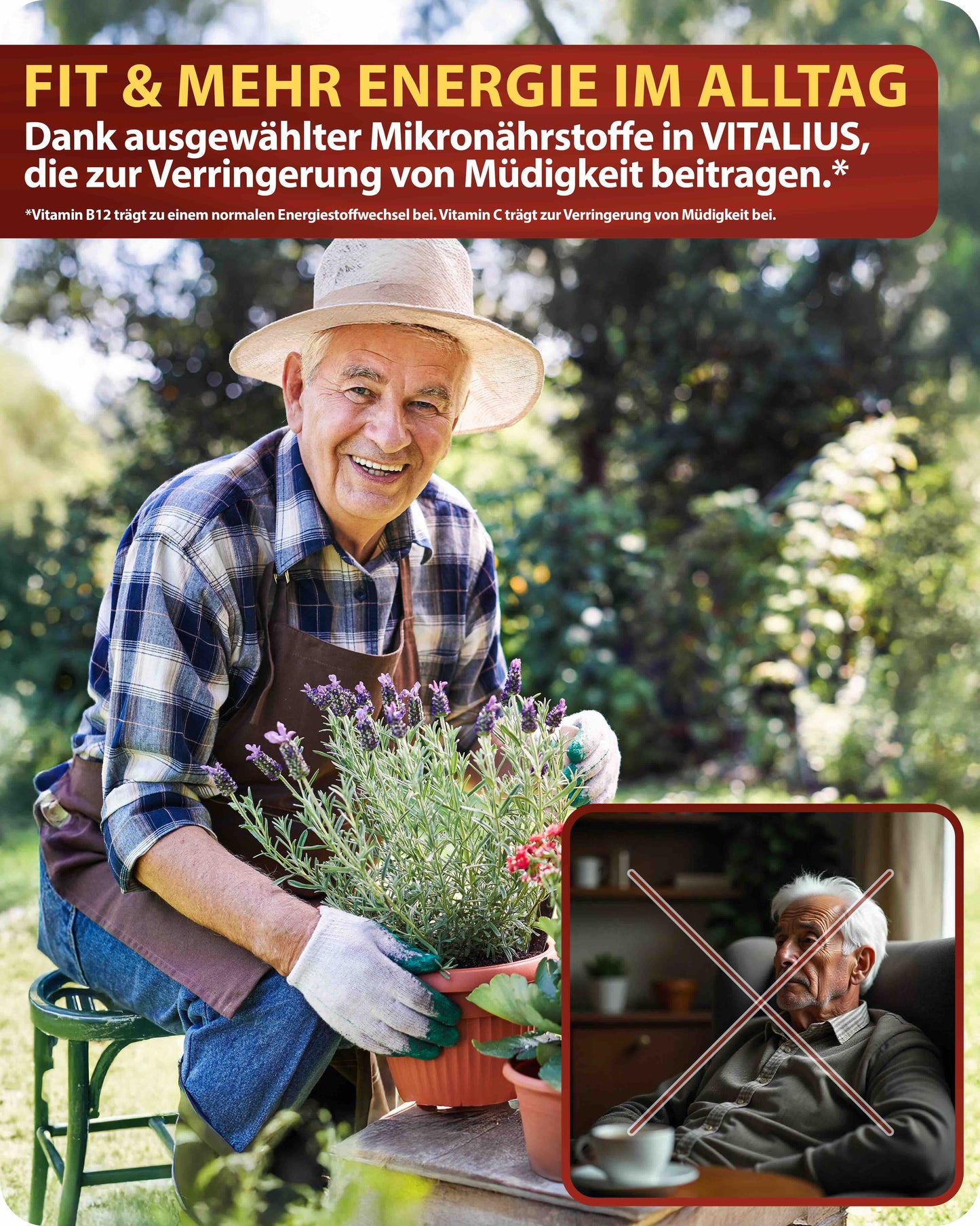 Vitalius für den Mann ab 50!